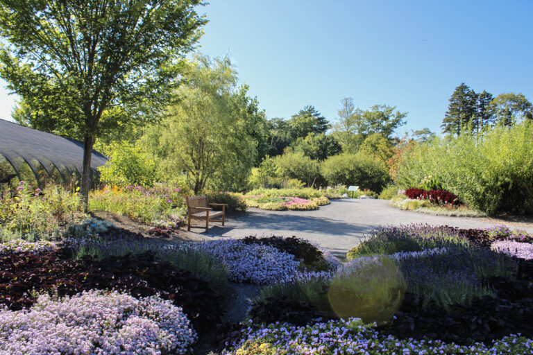 coastal maine botanical gardens